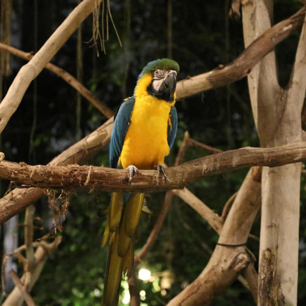 神戶一日遊自由行攻略 逾24大神戶景點/美食/酒店推介附交通攻略 