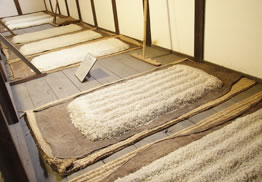 神戶一日遊自由行攻略 逾24大神戶景點/美食/酒店推介附交通攻略 