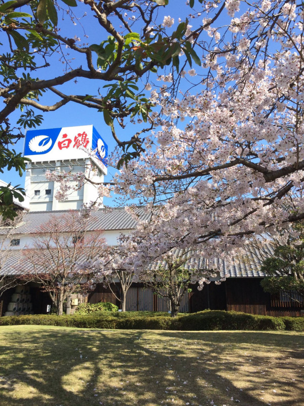 神戶一日遊自由行攻略 逾24大神戶景點/美食/酒店推介附交通攻略 
