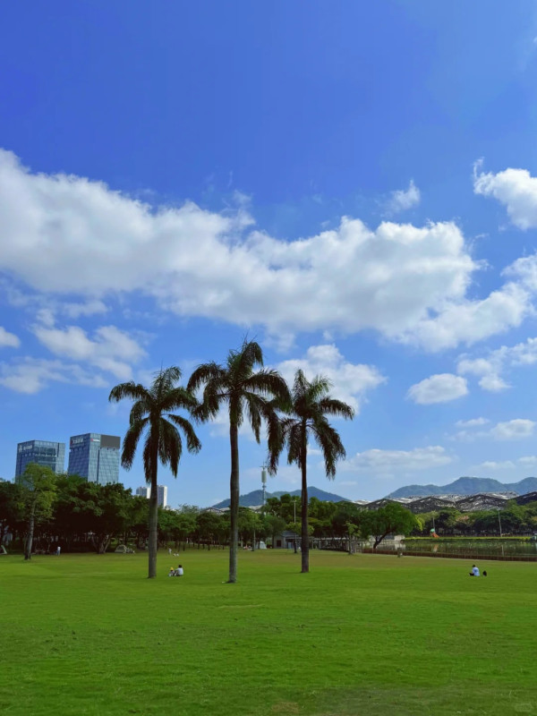 紫馬嶺公園(圖片來源:小紅書@芝士奶蓋丸子) 紫馬嶺公園(圖片來源:小紅書@芝士奶蓋丸子)