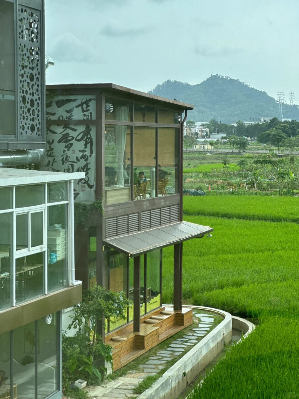 橋頭村(圖片來源:小紅書@方方不方) 橋頭村(圖片來源:小紅書@方方不方)