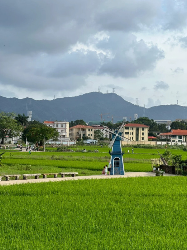 橋頭村(圖片來源:小紅書@方方不方) 橋頭村(圖片來源:小紅書@方方不方)