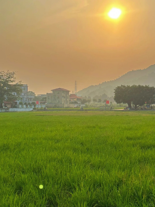橋頭村(圖片來源:小紅書@Olivia柑橘仔) 橋頭村(圖片來源:小紅書@Olivia柑橘仔)
