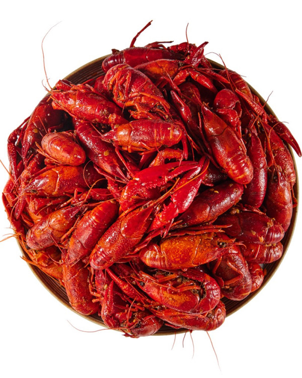 最新深圳必買手信合集 | 網紅酥皮蛋撻／軟熟芝士蛋糕／爆紅瑞士卷 