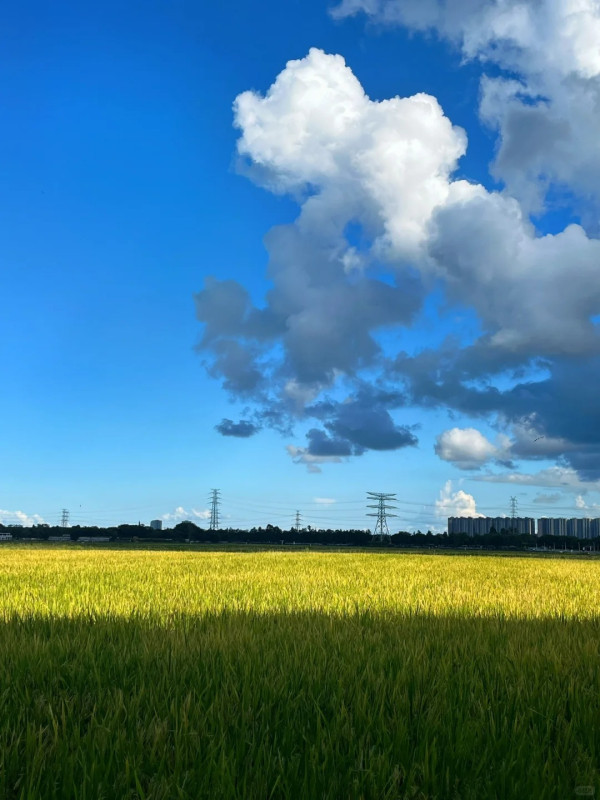 崖口村（圖片來源：小紅書@Lionet）