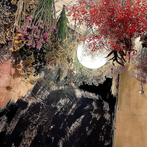 10間人氣旺角Cafe推介 打卡必去室內沙灘／女僕主題／明星應援店