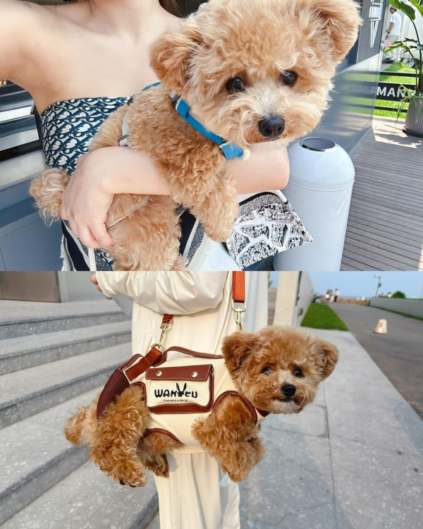 30歲前TVB女藝人蔚雨芯旅行曬長腿 擁魔鬼身材去年上榜「百大美女」 