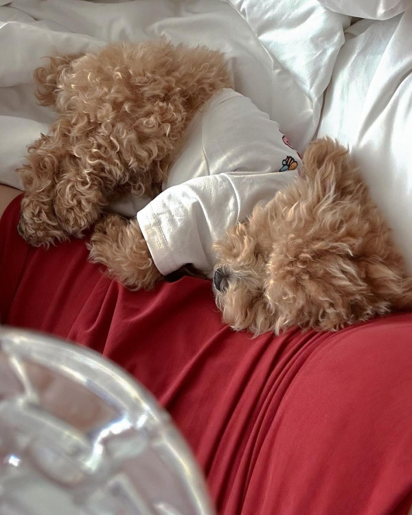 30歲前TVB女藝人蔚雨芯旅行曬長腿 擁魔鬼身材去年上榜「百大美女」 