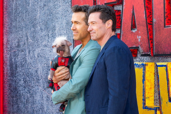 死侍與狼人|新角色「狗侍」超搶fo!明星犬Peggy大有來頭 獲封全英最醜狗狗