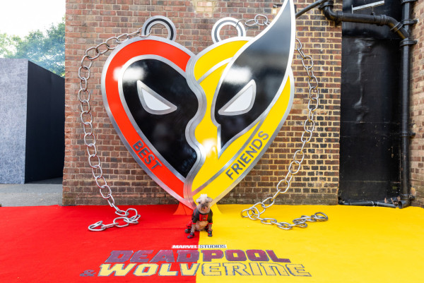 死侍與狼人|新角色「狗侍」超搶fo!明星犬Peggy大有來頭 獲封全英最醜狗狗