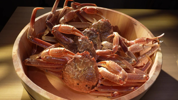 感動味蕾美食餐廳100強關西篇｜周奕瑋全新日本旅遊節目每集景點 推介必食黑毛和牛燒肉/隱世壽司店、串燒店 