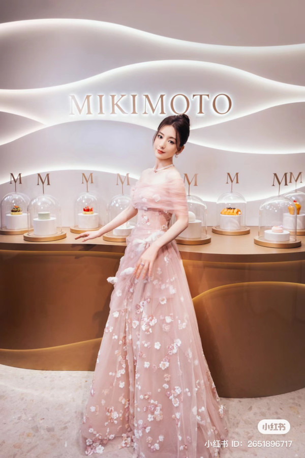 方媛低胸透視禮服獲盛讚