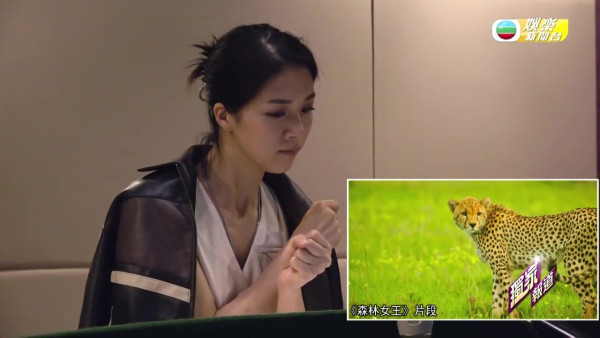 陳曉華聲演一心承繼母業的雌性獵豹「芷瑤」。