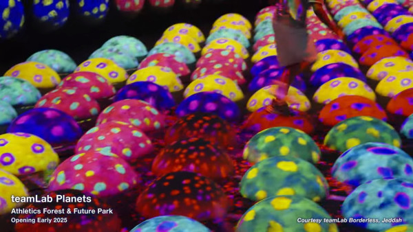 東京豐洲teamLab Planets延長至2027 新作品登場！走進水晶宇宙+光球空間 