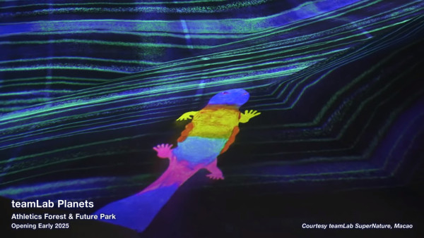 東京豐洲teamLab Planets延長至2027 新作品登場！走進水晶宇宙+光球空間 