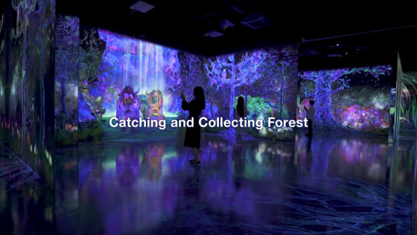 東京豐洲teamLab Planets延長至2027 新作品登場！走進水晶宇宙+光球空間 