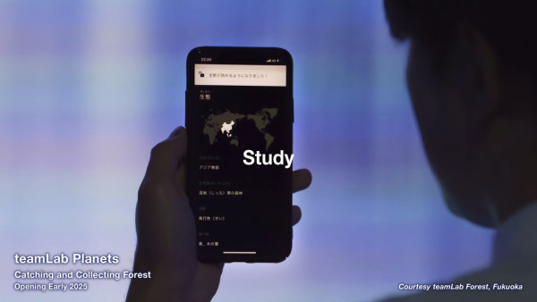 東京豐洲teamLab Planets延長至2027 新作品登場！走進水晶宇宙+光球空間 