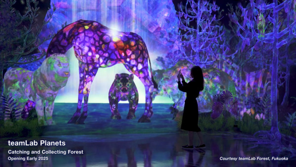 東京豐洲teamLab Planets延長至2027 新作品登場！走進水晶宇宙+光球空間 
