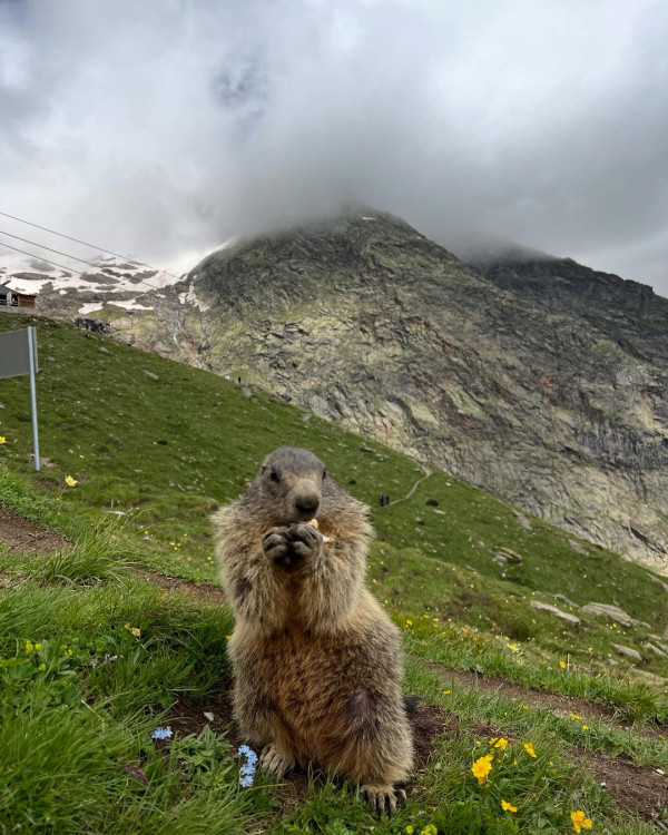 梁芷珮自爆瑞士兩奇遇 航班超賣可獲賠4位數歐羅+1晚酒店 最終一個原因say no?