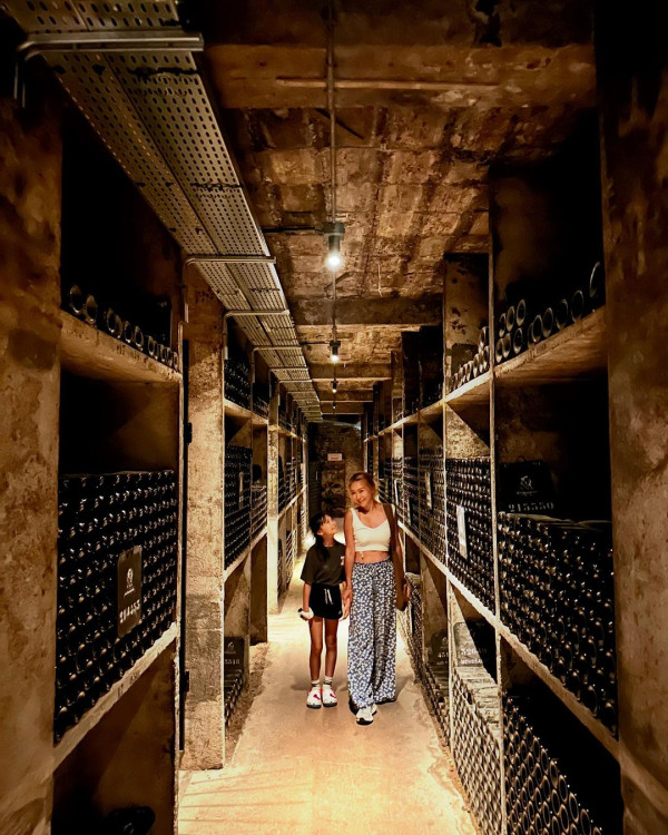 梁芷珮自爆瑞士兩奇遇 航班超賣可獲賠4位數歐羅+1晚酒店 最終一個原因say no?