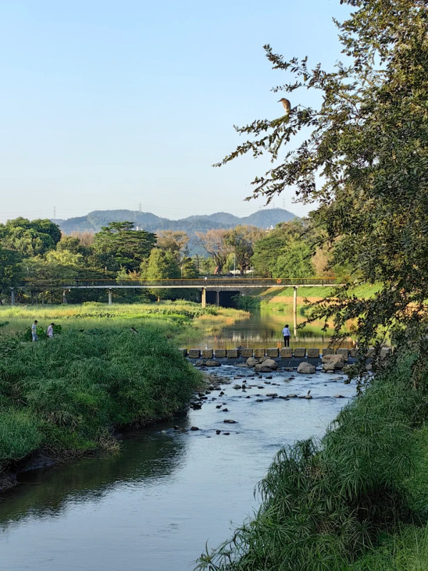 深圳中心公園（圖片來源：小紅書@素昧）