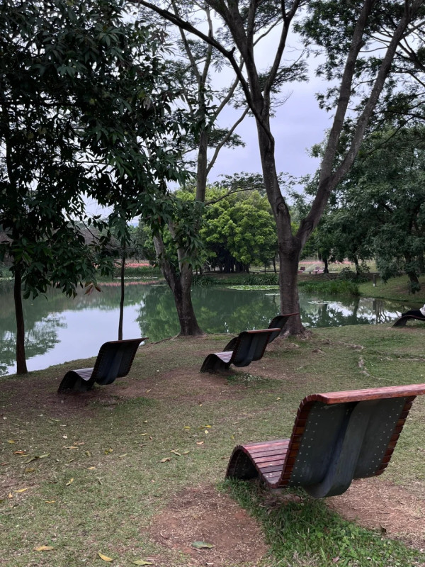 深圳中心公園（圖片來源：小紅書@探店细胞）