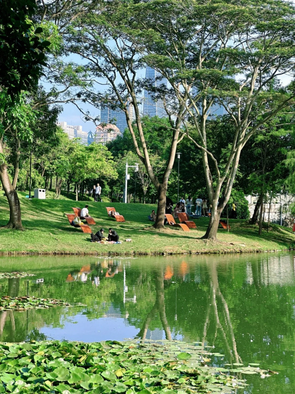 深圳中心公園（圖片來源：小紅書@小花旅記）