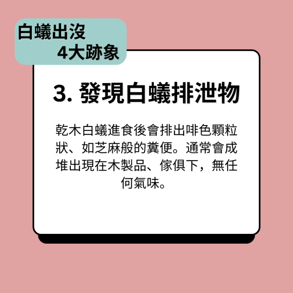 害蟲入屋｜使用9個月梳化跌出不明粉色顆粒現蟲影 專家揭害蟲真身：不易處理