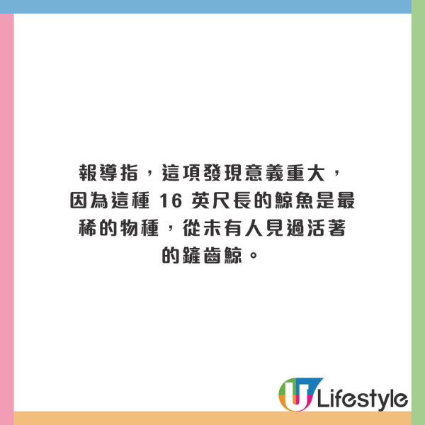 荷蘭運河發現1物極似巨大「異形蛋」 生態學家揭曉其真身！ 