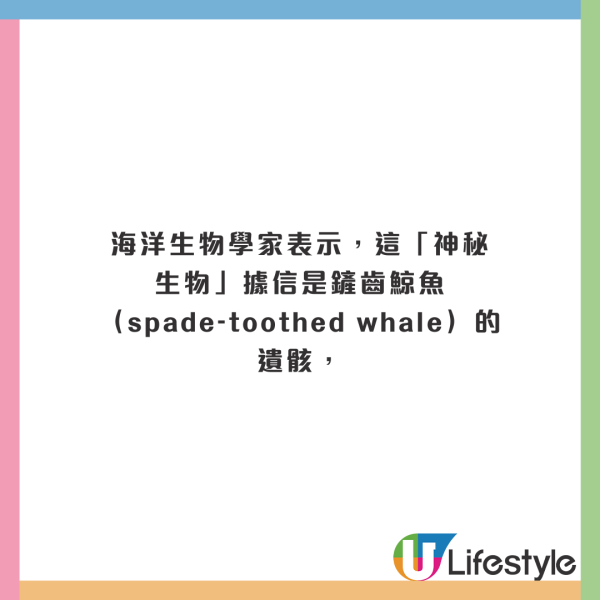 荷蘭運河發現1物極似巨大「異形蛋」 生態學家揭曉其真身！ 