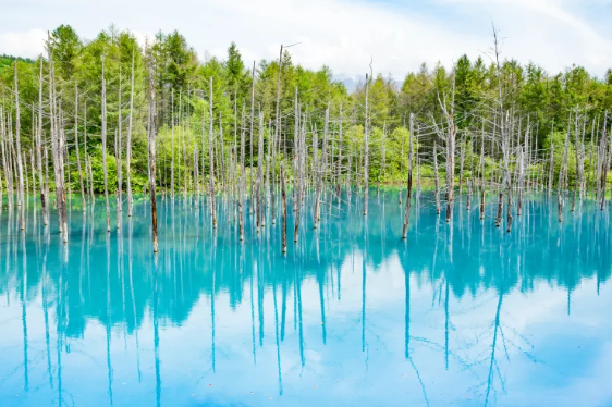 台男女音樂節上演「活春宮」 當眾交纏半小時旁若無人 