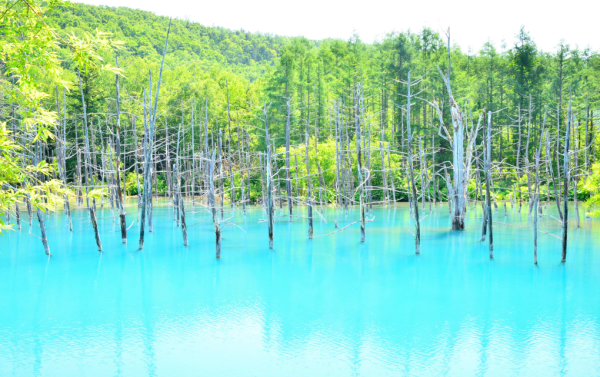 台男女音樂節上演「活春宮」 當眾交纏半小時旁若無人 
