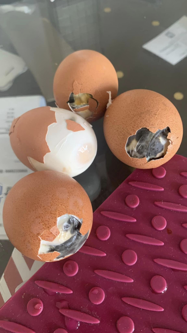 慎入！連鎖超市買到「壞蛋」 驚見疑似胚胎　網民：1個原因孵出雞仔?