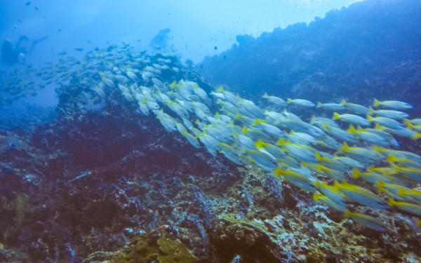 【飛女】世外桃源 – 泰國象島 