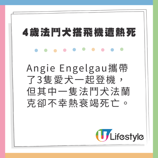 4歲法國鬥牛犬搭飛機慘遭熱死 主人嬲爆提告航空公司 