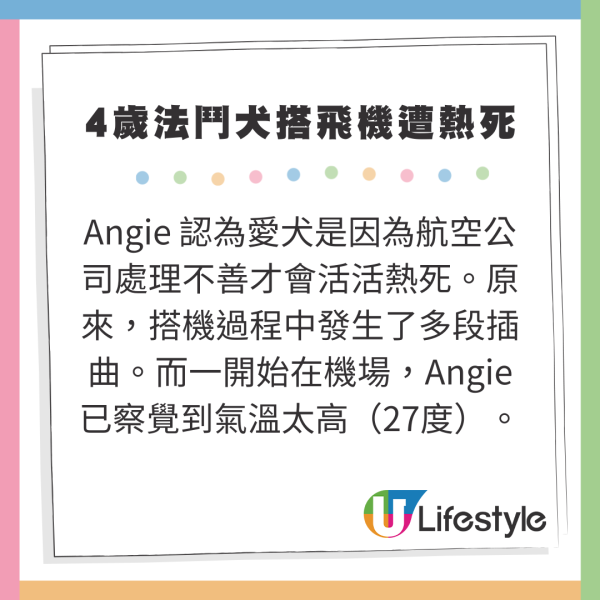 4歲法國鬥牛犬搭飛機慘遭熱死 主人嬲爆提告航空公司 