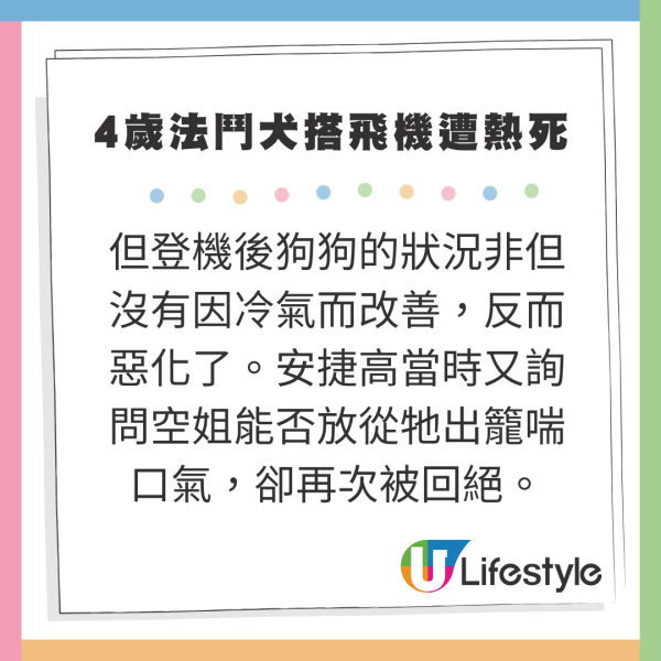 4歲法國鬥牛犬搭飛機慘遭熱死 主人嬲爆提告航空公司 
