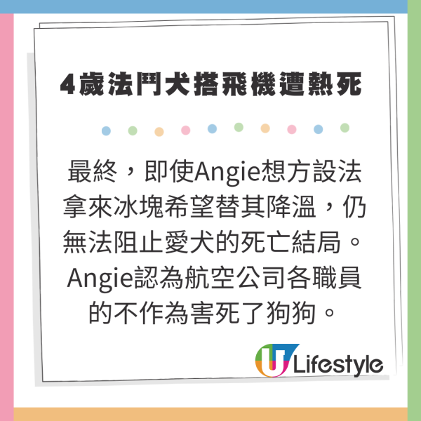 4歲法國鬥牛犬搭飛機慘遭熱死 主人嬲爆提告航空公司 