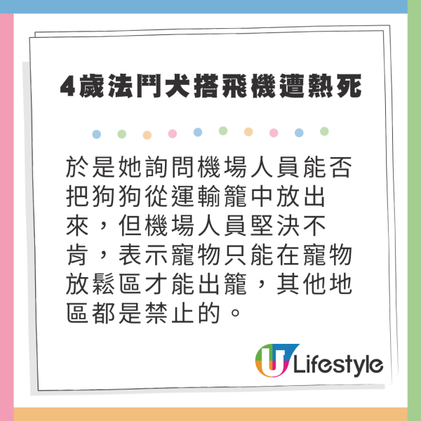 4歲法國鬥牛犬搭飛機慘遭熱死 主人嬲爆提告航空公司 