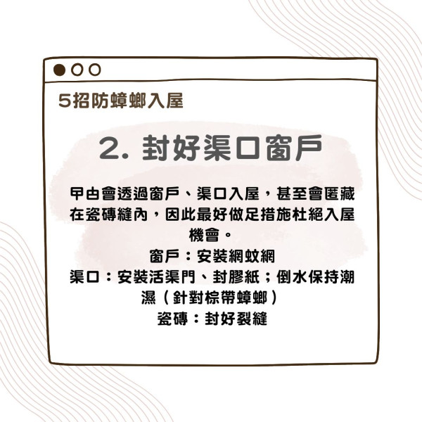 對付曱甴全攻略｜曱甴藥/曱甴屋效用比拼 5大簡單方法防蟑螂