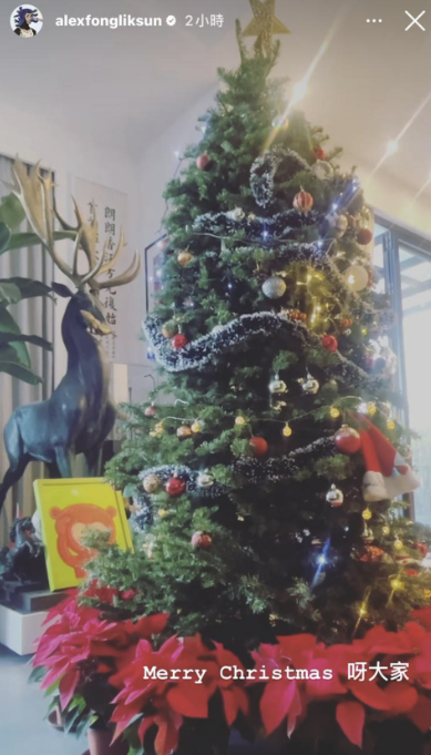 方力申曾在聖誕節時曬出家中的巨型聖誕樹，目測有近3米高，能夠放下這麼大的聖誕樹，可想而知其豪宅的樓底有多高！圖片來源：IG@alexfongliksun
