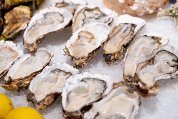 溫德姆至尊酒店趣味自助餐廳·溫吧 自助午餐 自助晚餐