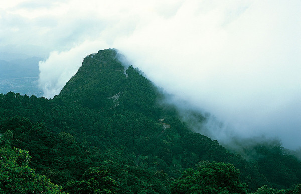 嘉道理農場暨植物園（圖片來源：嘉道理農場暨植物園）