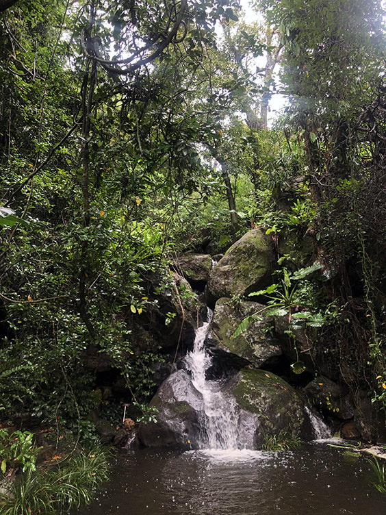 嘉道理農場暨植物園（圖片來源：嘉道理農場暨植物園）