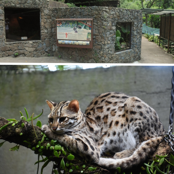 嘉道理農場暨植物園（圖片來源：嘉道理農場暨植物園）