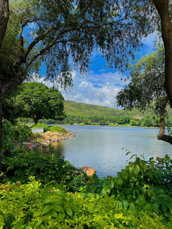 戶外親子好去處｜迪欣湖野餐