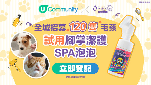 5間中環西式週末brunch推介 | 任食生蠔／意式前菜／情調一流