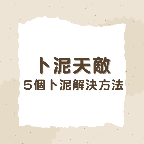 卜泥解決方法｜「書蟲」以紙為糧 年生1200粒卵極速繁殖 即學5大方法杜絕