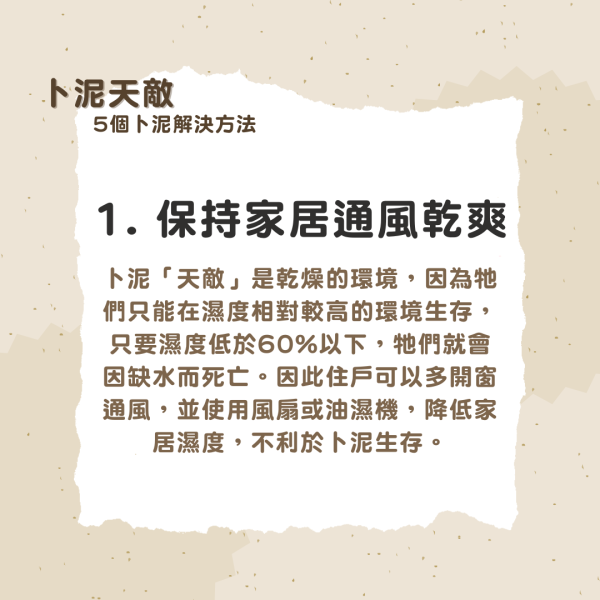 卜泥解決方法｜「書蟲」以紙為糧 年生1200粒卵極速繁殖 即學5大方法杜絕