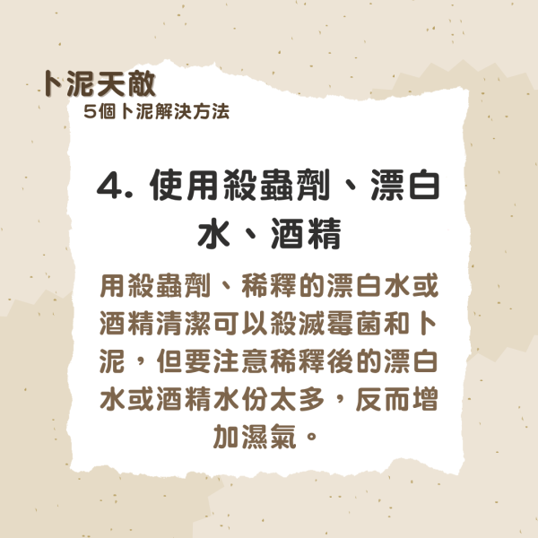 卜泥書蟲解決︱食紙食霉菌真菌每年生1200粒卵 5大方法杜絕書蝨